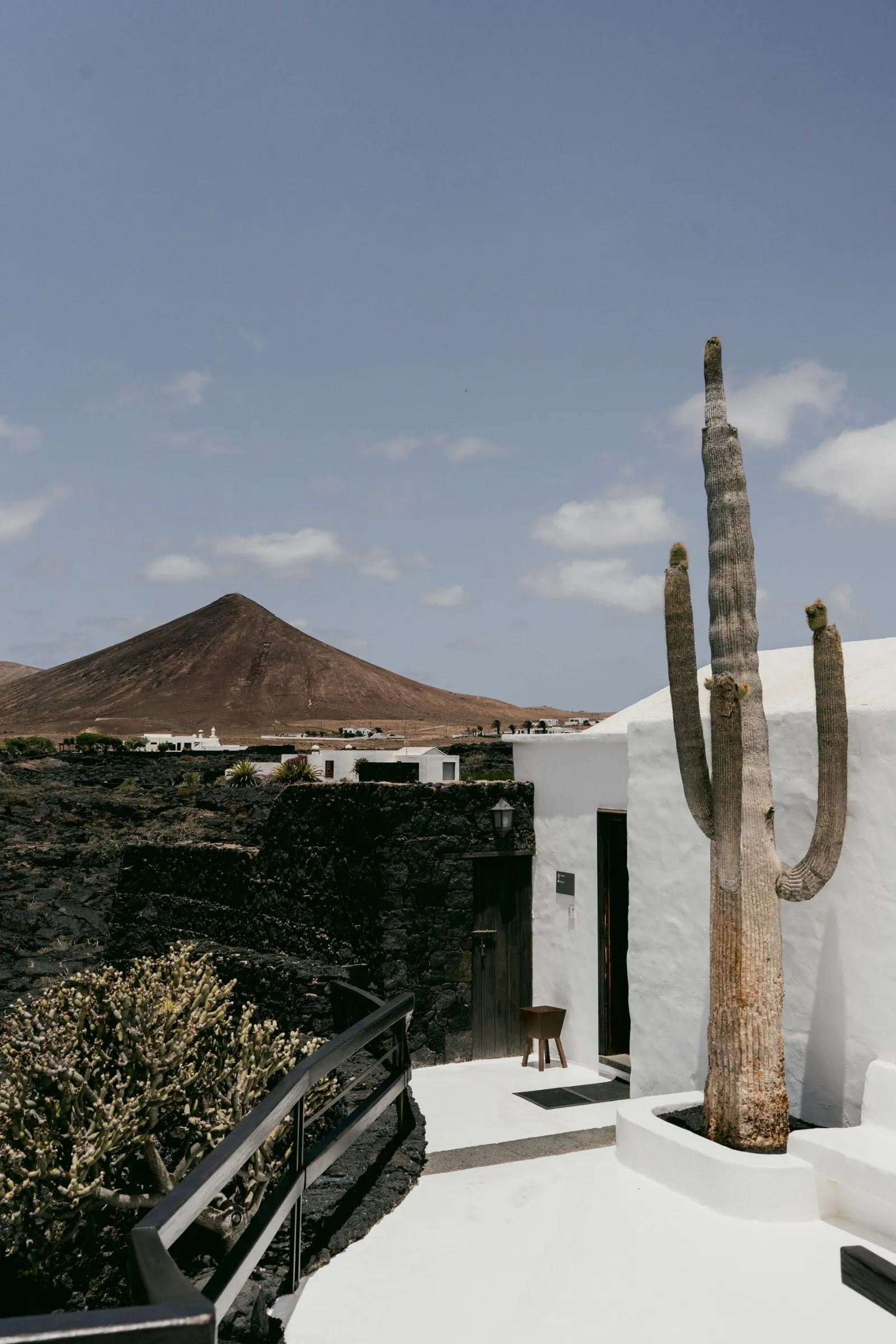 A whitewashed house with a tall cactus, a black lava wall and a brown volcano behind