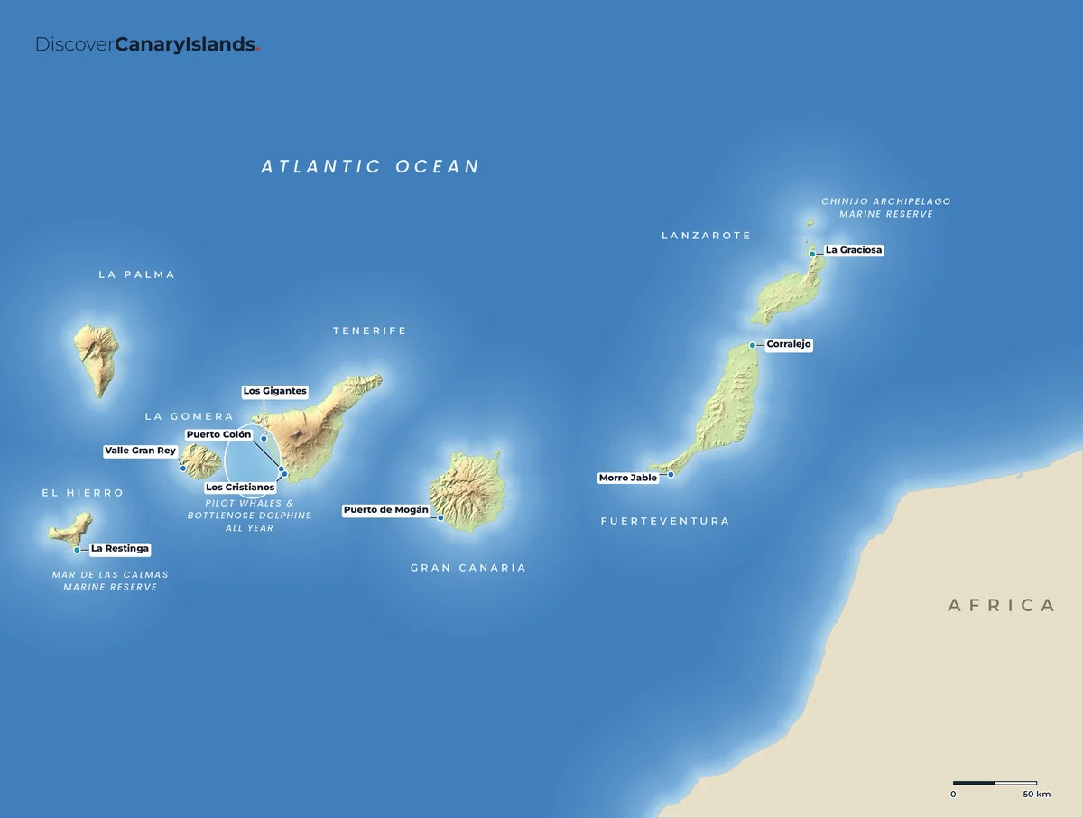 Map. Whale and dolphin watching from Tenerife and La Gomera, dive spots and the marine reserves.